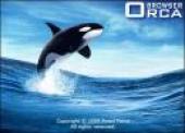 Orca Browser 1.1 RC2