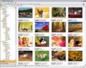 StudioLine Photo Basic 3.50.70.0