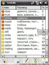 TestLNG 1.1 для Pocket PC и WM - описание, 